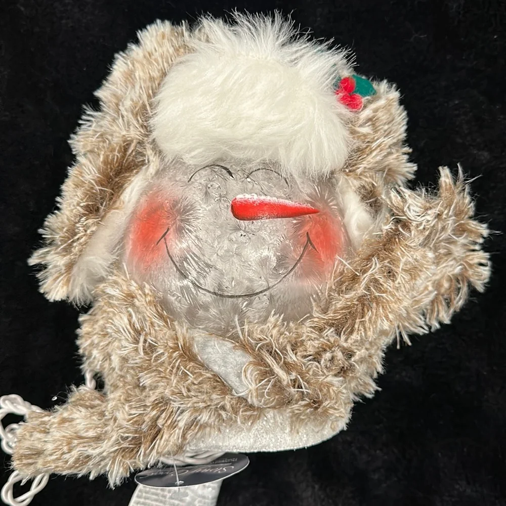 Brand new Stony Creek Snow Man face lights - Picture 1 of 9